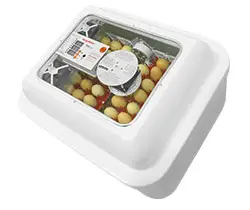 ایزی باتور ۲